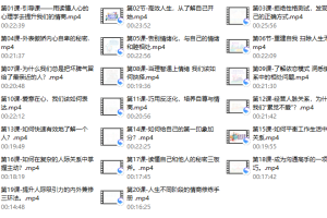 恋爱心理学（视频 20课）