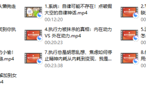社交光谱莱特Light《执行力能量系统》无尽的执行和自律能量