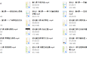 偷先生《进化》