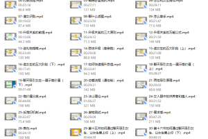 麦子《脱单实战VIP课》