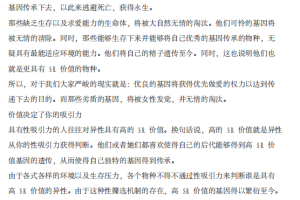 《谜男启示录》