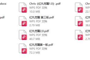 红丸觉醒1.0-3.0电子版