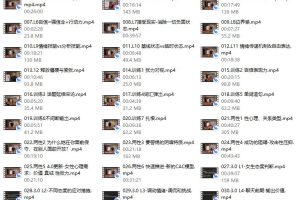 CAC 4.0（无水印）