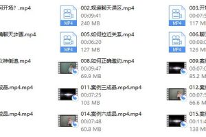艾伦聊天方法《傻瓜聊天课》