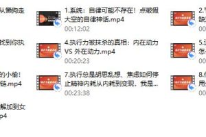 莱特《执行力能量系统》无尽的执行和自律能量