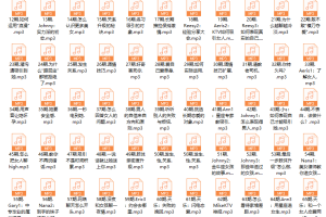 成真《高手支招》