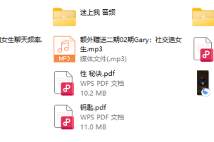 成真最新多媒体版《迷上我》