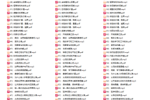 武志红92个成功心法  把事情做好的心理学课