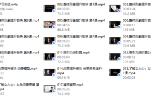 颜哥-男士吸引力打造