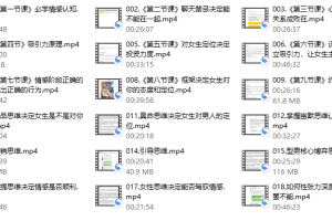 Eric轩团队-海王急速训练营（短期关系）