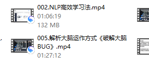 魅男《nlp大脑升维》