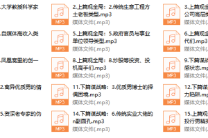 成功男人的A.B面15节